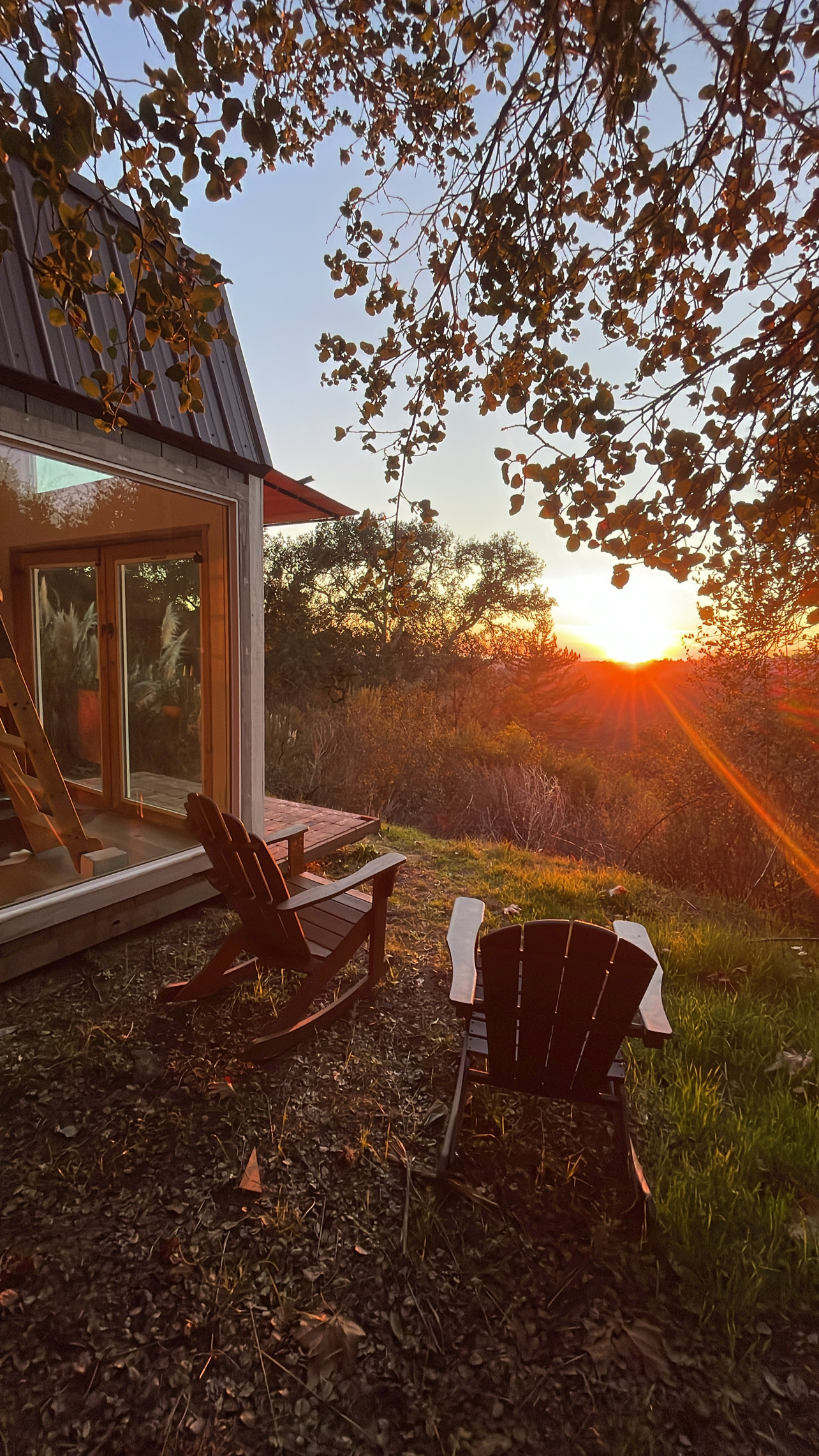 Sunset over the redwood horizon